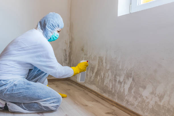 Licensed Mold Removal service in Pennington, NJ - 24 Hour Mold Removal