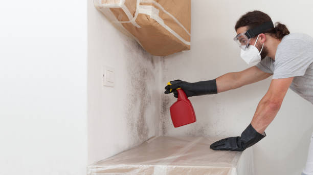 Professional Mold Removal technician working in Pennington, NJ