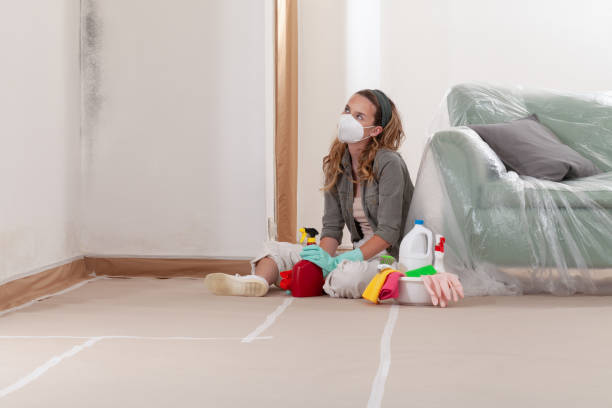 Reliable Mold Removal contractor in Pennington, NJ by 24 Hour Mold Removal